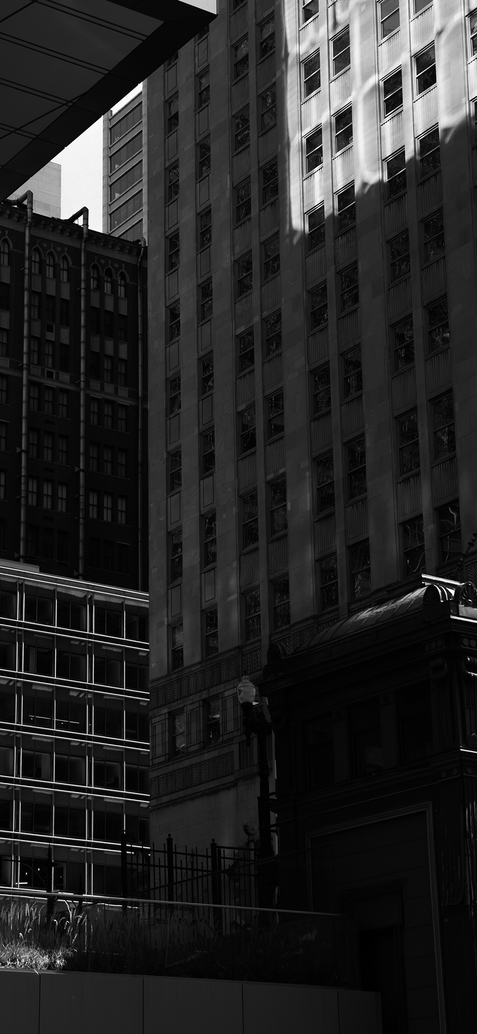 Standing Together Chicago (iPhone Wallpaper)